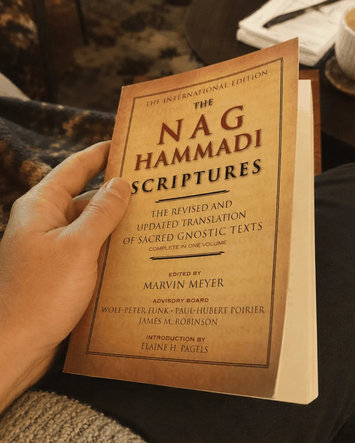 Opening the book to its first pages in an armchair